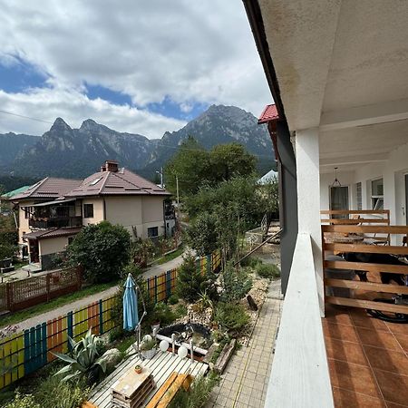 Casa David Hotel Busteni Exterior photo