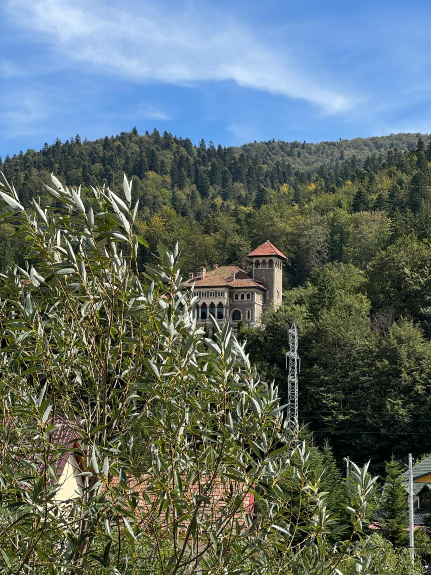 Casa David Hotel Busteni Exterior photo